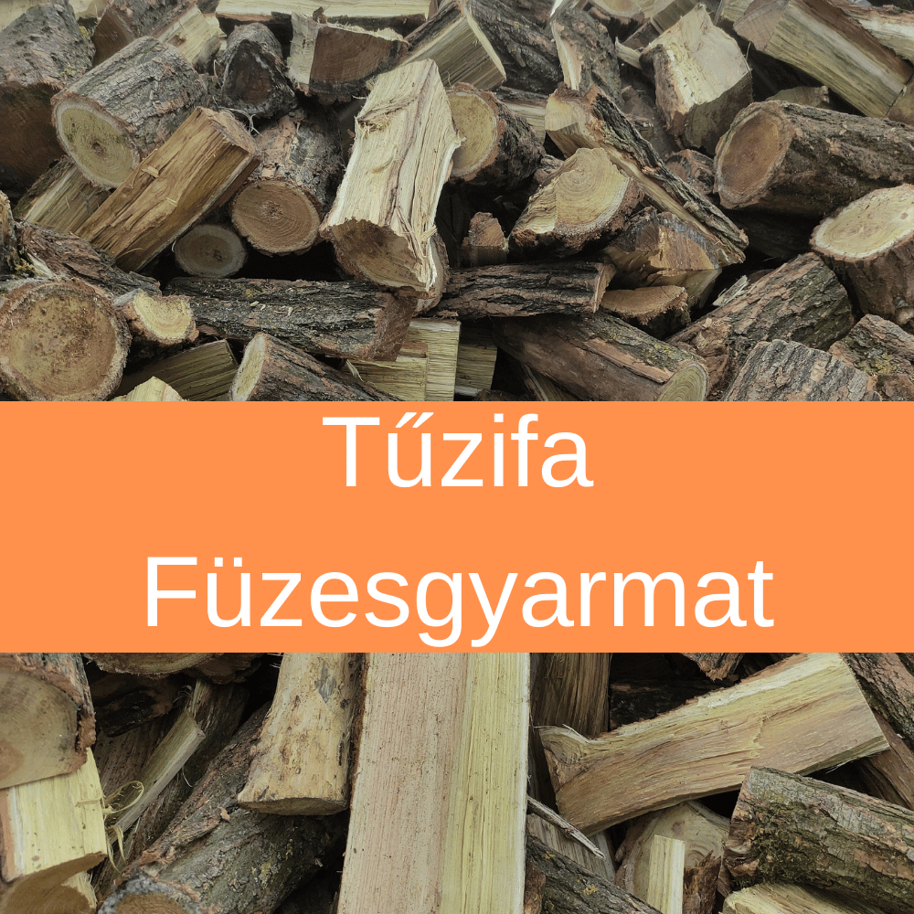 Tűzifa Füzesgyarmatra házhozszállítással